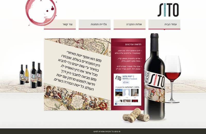 Website development with custom design