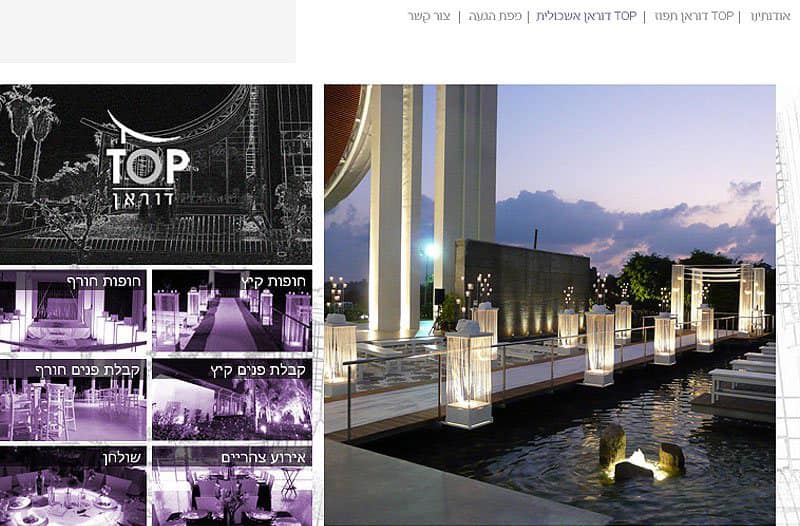 Professional website development