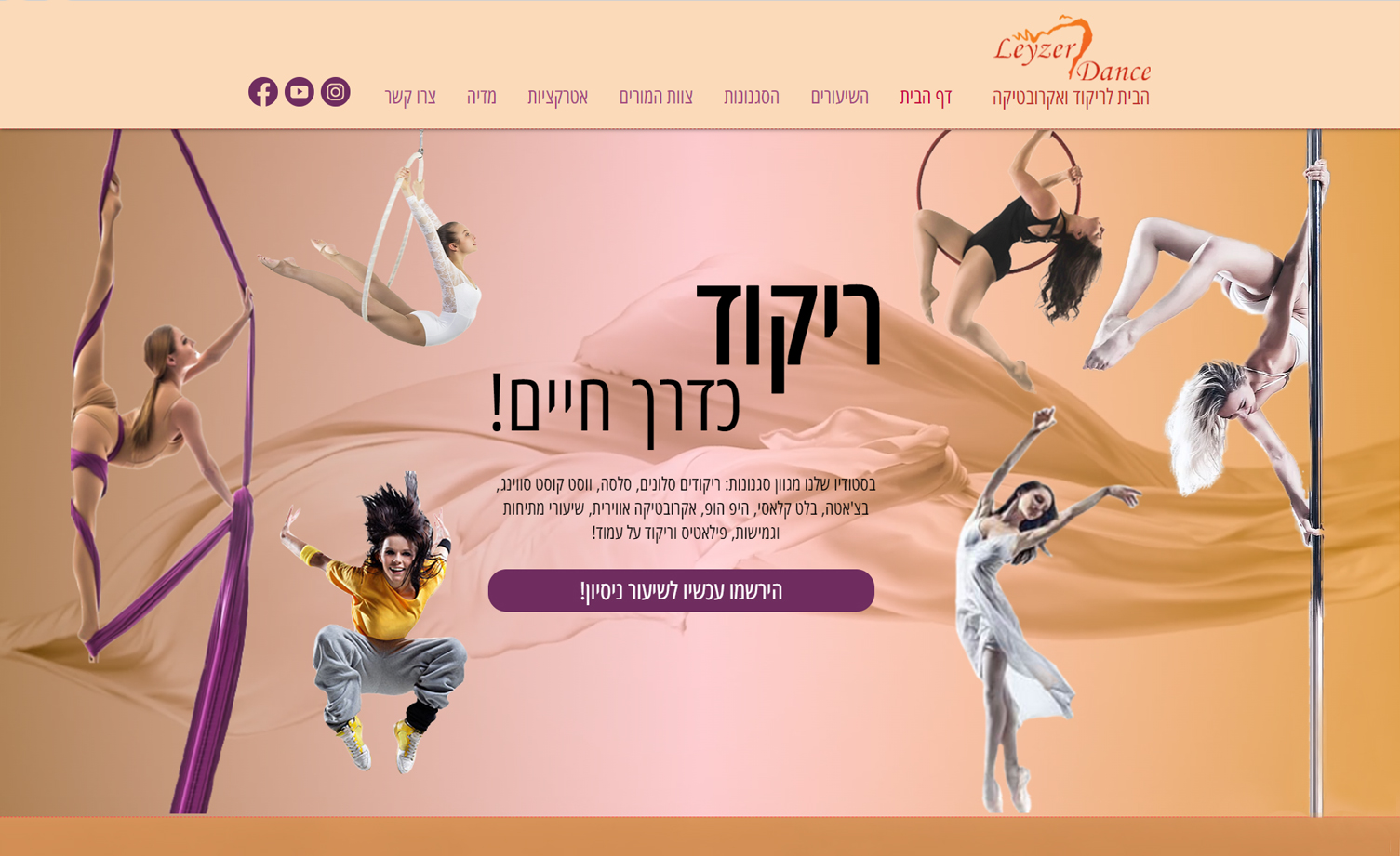 High-level professional website development