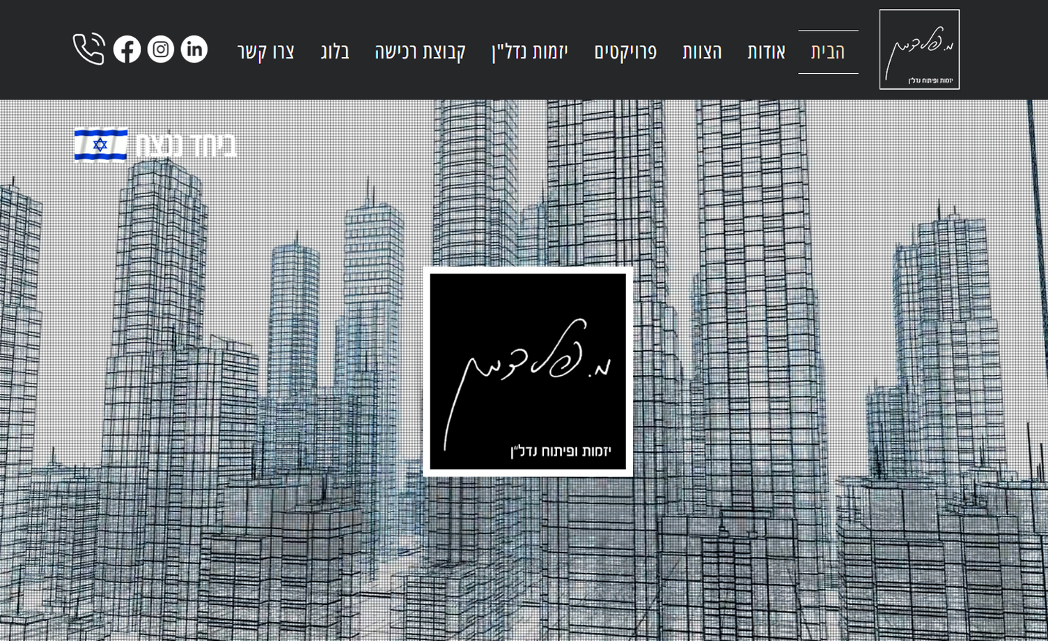 Custom website development